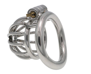 International Male Chastity Clubs: Fostering Connection and Sharing Experiences