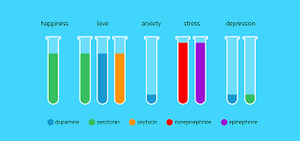 The Brain and Cuckoldry: Unraveling the Neurochemistry of Emotions