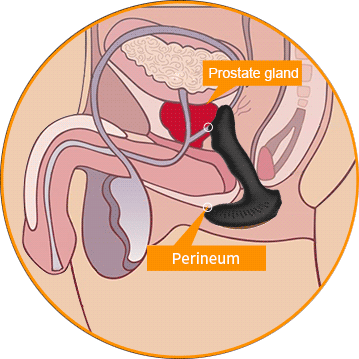 Prostate Orgasms - A level of sexual pleasure you didn't think possible.