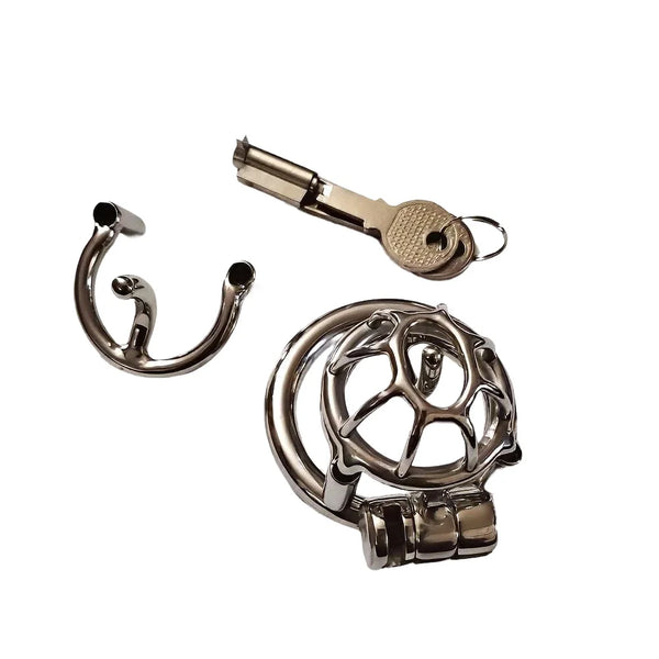 Small Stainless Steel Male Chastity Cage with Prince Albert Piercing Custom Metal Cock Cage Men BDSM Bondage CBT Lock Sex Toy