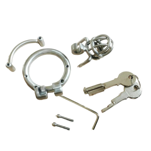 Small Steel Male Chastity Cage Custom Mini Metal Cock Cage Micro Size Men BDSM Bondage Restraint CBT Penis Lock Adult SexToy