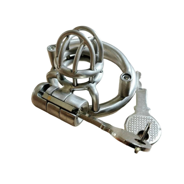 Small Steel Male Chastity Cage Custom Mini Metal Cock Cage Micro Size Men BDSM Bondage Restraint CBT Penis Lock Adult SexToy