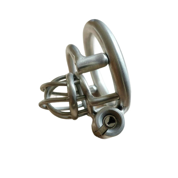 Small Steel Male Chastity Cage Custom Mini Metal Cock Cage Micro Size Men BDSM Bondage Restraint CBT Penis Lock Adult SexToy
