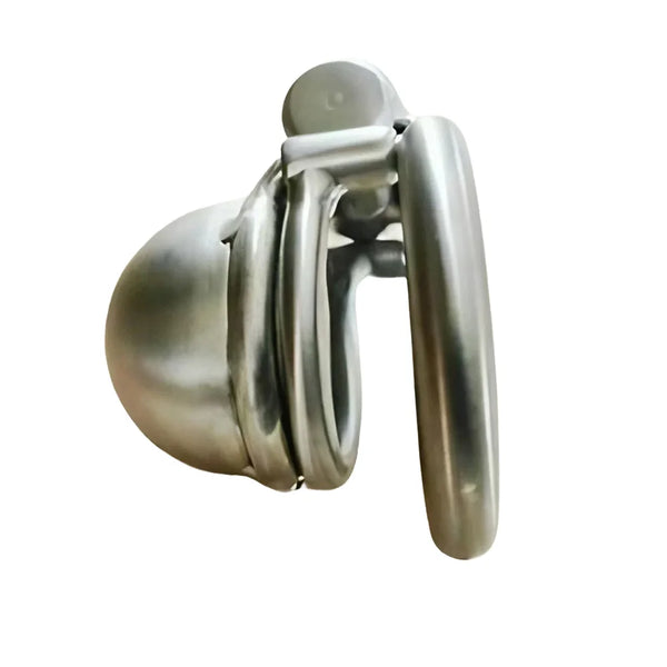 Steel Male Chastity Cage with Prince Albert Piercing Custom Metal Cock Cage Men BDSM Bondage Gay CBT Lock Restraint Sex Toys