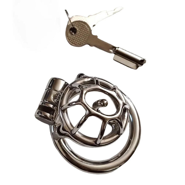 Small Stainless Steel Male Chastity Cage with Prince Albert Piercing Custom Metal Cock Cage Men BDSM Bondage CBT Lock Sex Toy