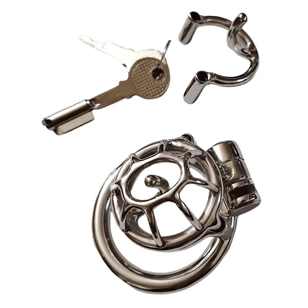 Small Stainless Steel Male Chastity Cage with Prince Albert Piercing Custom Metal Cock Cage Men BDSM Bondage CBT Lock Sex Toy