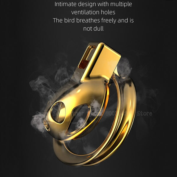 Metal Hollow Chastity Cock Cage Penis Anti-off Cock Ring Chastity Belt Virginity Cage Device Male Metal Ball Lock Stretcher Cbt