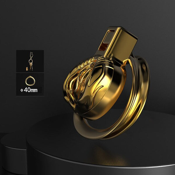 Metal Hollow Chastity Cock Cage Penis Anti-off Cock Ring Chastity Belt Virginity Cage Device Male Metal Ball Lock Stretcher Cbt