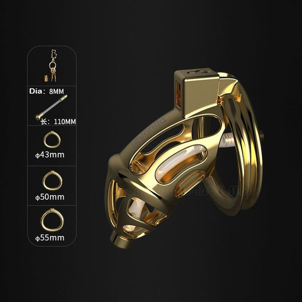 Metal Hollow Chastity Cock Cage Penis Anti-off Cock Ring Chastity Belt Virginity Cage Device Male Metal Ball Lock Stretcher Cbt